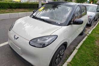 五菱汽车 五菱缤果 2025款 333km 悦享款