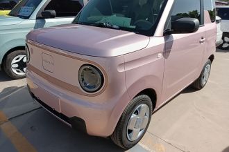 吉利银河 2024款 熊猫mini 200km 耐力熊