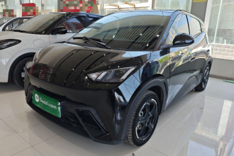 比亚迪 海鸥 2023款 飞翔版