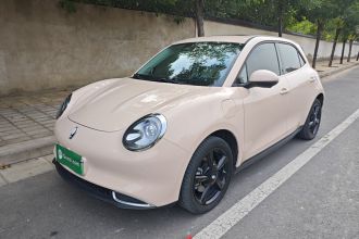 欧拉好猫 2024款 401km 豪华型