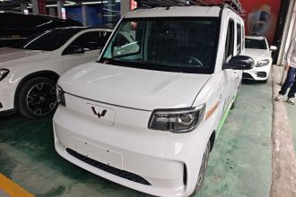 五菱汽车 五菱之光新能源 2025款 305km 进取型