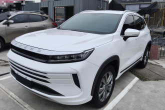 星途追风 2024款 1.5T CVT好事花生版