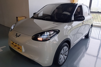 五菱汽车 五菱缤果 2024款 203km 轻享款