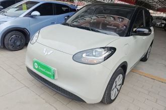 五菱汽车 五菱缤果 2024款 203km 轻享款