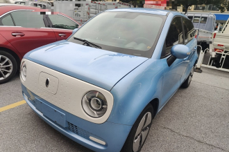 欧拉黑猫 2021款 301km 基础型