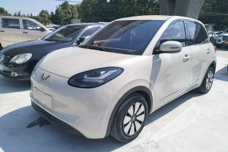 五菱汽车 五菱缤果 2023款 203km 舒享款