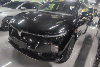 岚图汽车 岚图知音 2024款 四驱全球版