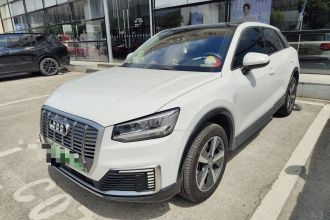 奥迪Q2L e-tron 2019款 Q2L e-tron 纯电智酷型