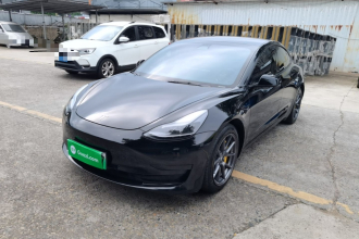 特斯拉 Model 3 2021款 标准续航后驱升级版 3D6