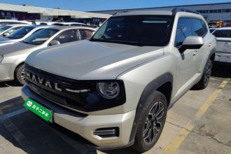 哈弗大狗 PLUS 新能源 2026款 Hi4 150km 潮电版