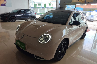 欧拉好猫 2021款 500km长续航 阿波罗版 三元锂