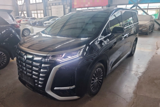 腾势D9 2022款 DM-i 1040 尊贵型