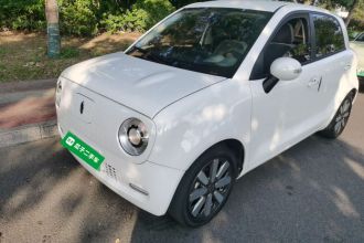 欧拉黑猫 2021款 351km 豪华型