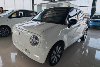 欧拉黑猫 2021款 351km 豪华型