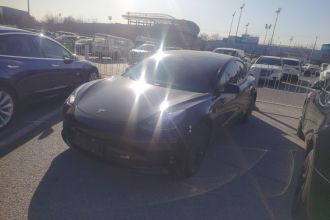 特斯拉 Model 3 2022款 后轮驱动版