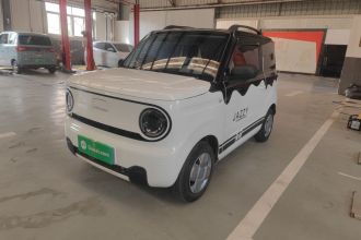 吉利银河 2023款 熊猫mini 200km 耐力熊