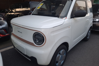 吉利银河 2024款 熊猫mini 200km 耐力熊