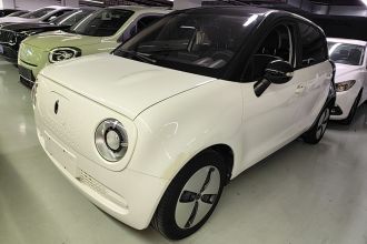 欧拉黑猫 2021款 301km 萌宠版