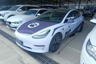 特斯拉 Model 3(进口) 2019款 长续航后驱版