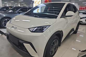 比亚迪 海鸥 2025款 305km 活力版