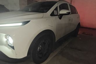 吉利几何E萤火虫 2024款 401km 萤光