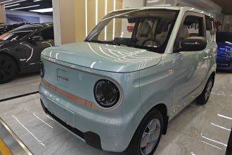 吉利银河 2023款 熊猫mini 200km 耐力熊