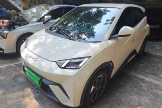 比亚迪 海鸥 2024款 荣耀版 405km 飞翔版