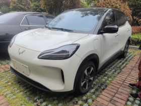五菱汽车 五菱缤果PLUS 2024款 510km 五座版
