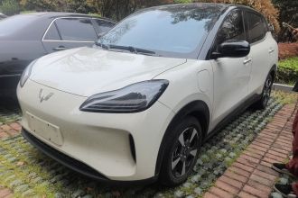 五菱汽车 五菱缤果PLUS 2024款 510km 五座版