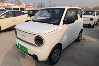 吉利银河 2024款 熊猫mini 200km 耐力熊