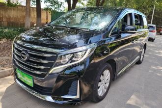 广汽传祺 传祺M8 2020款 领航款 390T 尊享版