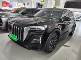 红旗HS5 2025款 2.0T 四驱旗享Pro版