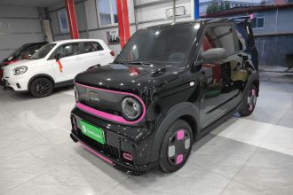 吉利银河 2025款 210km 熊猫卡丁