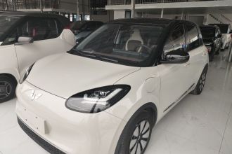 五菱汽车 五菱缤果 2023款 333km 悦享款