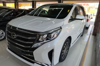 广汽传祺 传祺M8 2023款 领秀系列 390T 尊贵版