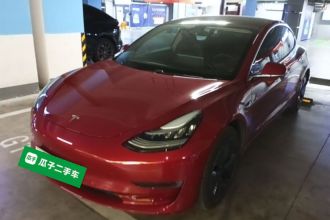 特斯拉 Model 3(进口) 2019款 长续航后驱版