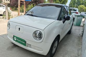 欧拉黑猫 2021款 301km 基础型