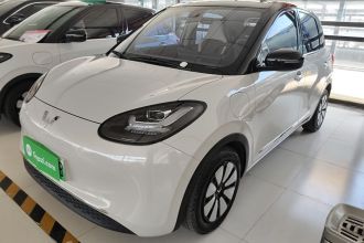 五菱汽车 五菱缤果 2023款 333km 悦享款
