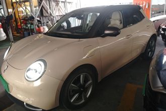 欧拉好猫 2021款 500km长续航 波塞冬版 三元锂