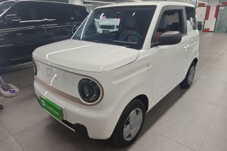 吉利银河 2023款 熊猫mini 200km 耐力熊