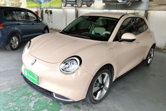 欧拉好猫 2021款 400km标准续航 维纳斯版 三元锂