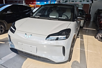 五菱汽车 五菱缤果PLUS 2024款 510km 旗舰版 四座版