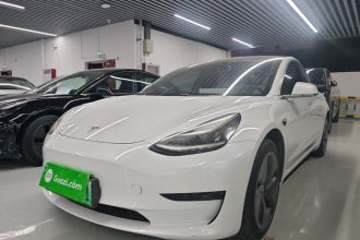 特斯拉 Model 3(进口) 2019款 标准续航后驱升级版