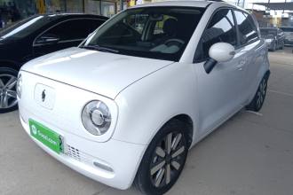 欧拉黑猫 2021款 351km 标准型