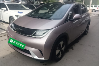 比亚迪 海豚 2023款 420km 时尚版