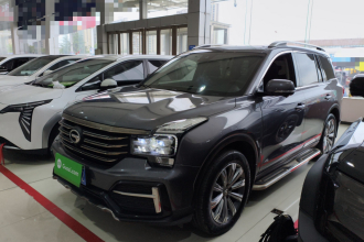 广汽传祺 传祺GS8 2020款 390T 两驱尊贵版（七座）