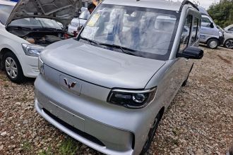 五菱汽车 五菱之光新能源 2025款 305km 进取型