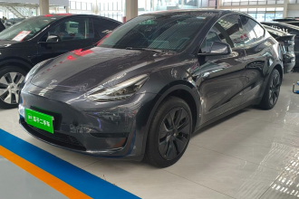 特斯拉 Model Y 2024款 后轮驱动版