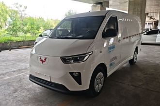 五菱汽车 五菱扬光 2024款 300km 舒适型封窗版 60kW
