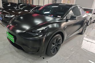 特斯拉 Model Y 2024款 后轮驱动版